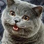 Eric Gregory's picture