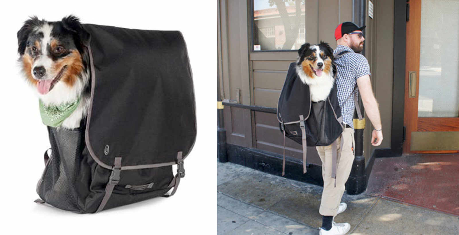 Dog Backpack Carrier For Large Dogs