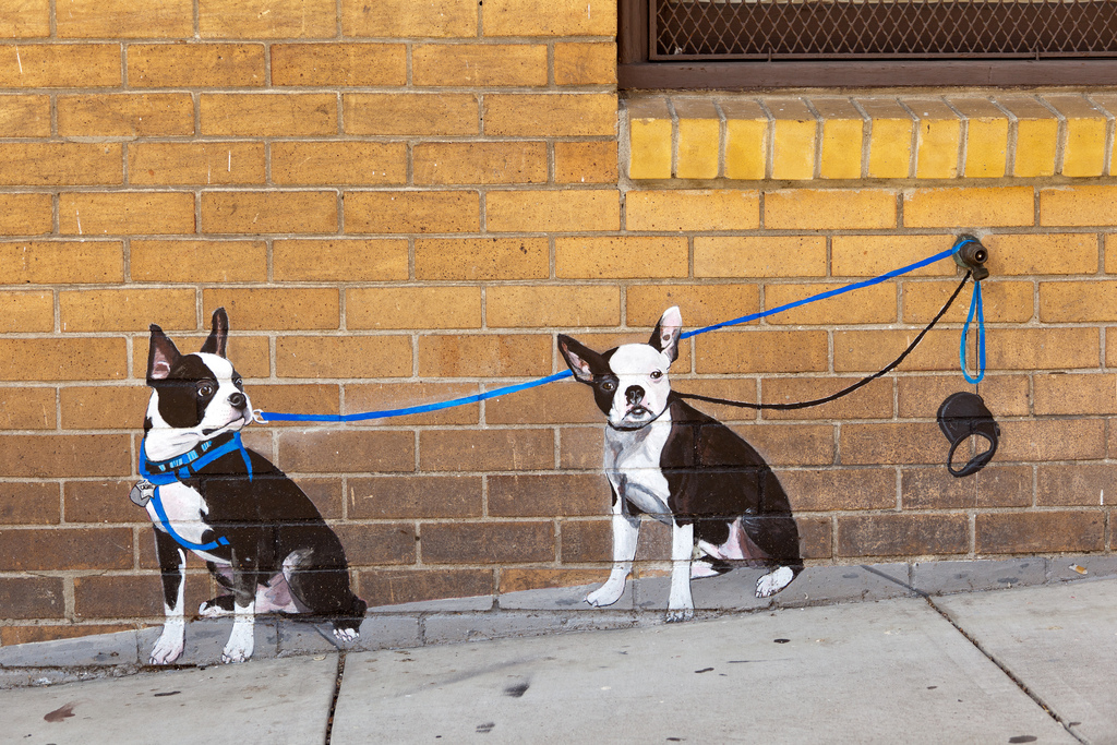 Barksy Just Up and Leaves His Dogs Tied Up Outside Uptown Almanac