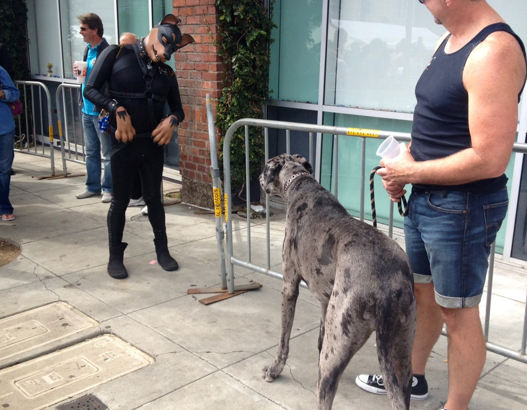 My Dog Becomes A Human Man Becomes Dog, Love Ensues | Uptown Almanac