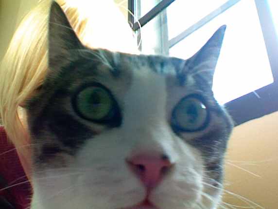 Kristen Haney's picture